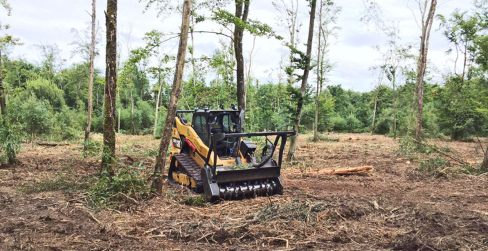 Vale Tree Surgeons - Scrub Clearance - Forestry Mulching