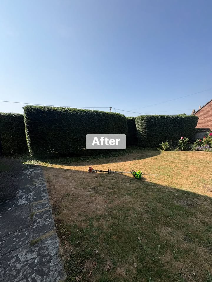 Vale Tree Surgeons LTD