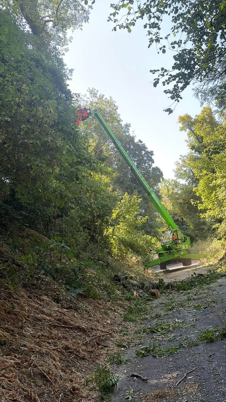 Vale Tree Surgeons LTD