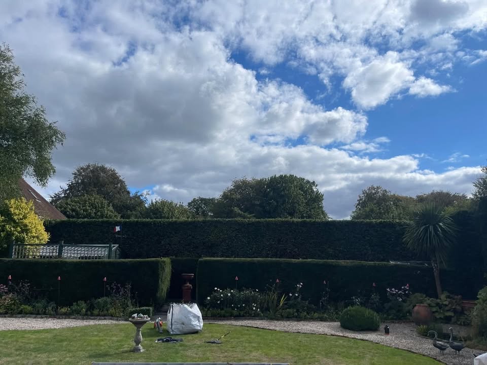 Vale Tree Surgeons LTD