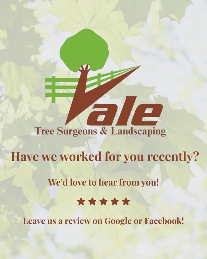 Vale Tree Surgeons LTD