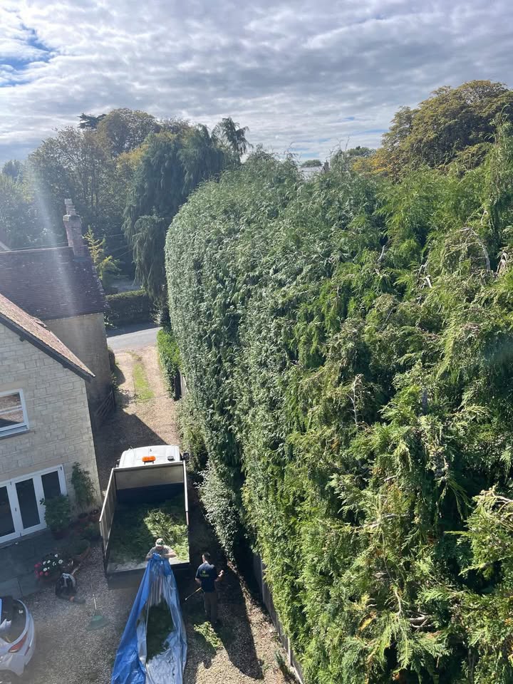 Vale Tree Surgeons LTD
