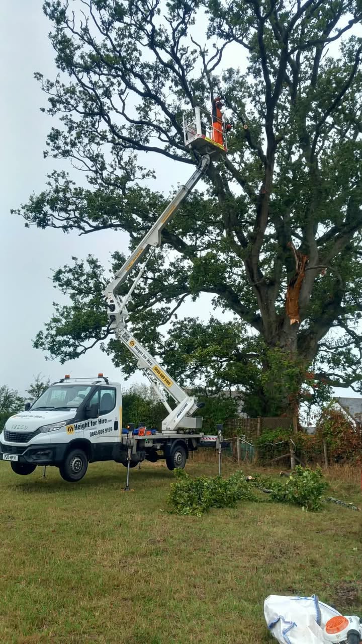 Vale Tree Surgeons LTD