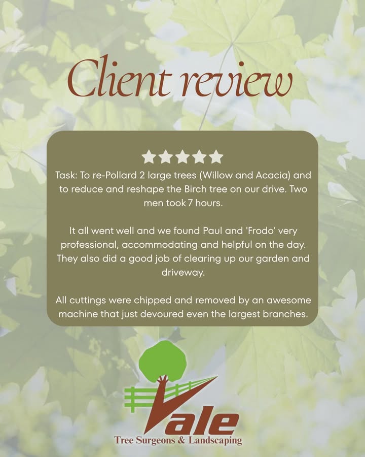 Vale Tree Surgeons LTD