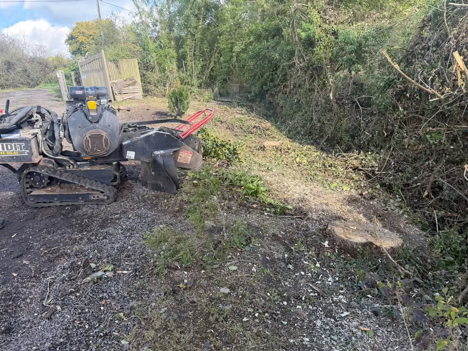 Vale Tree Surgeons LTD