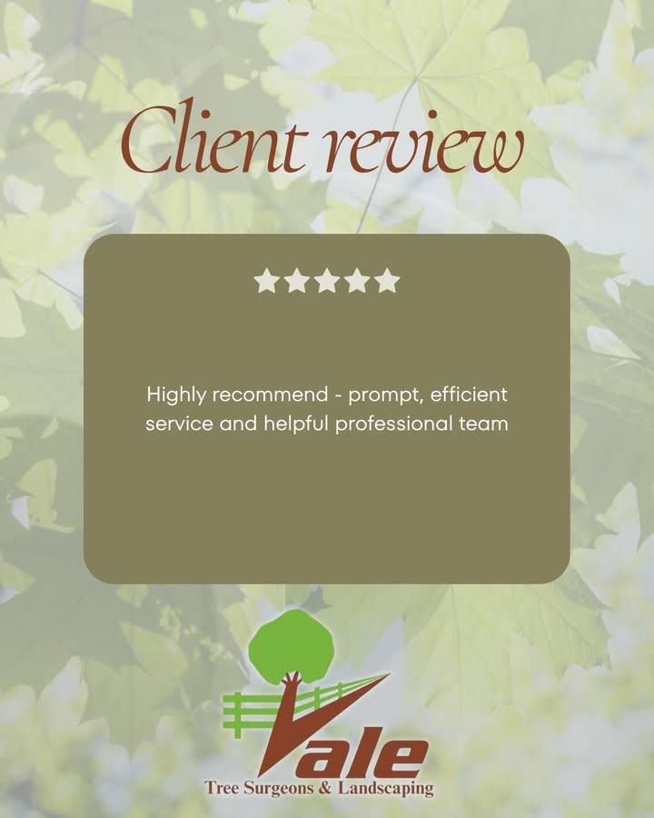 Vale Tree Surgeons LTD