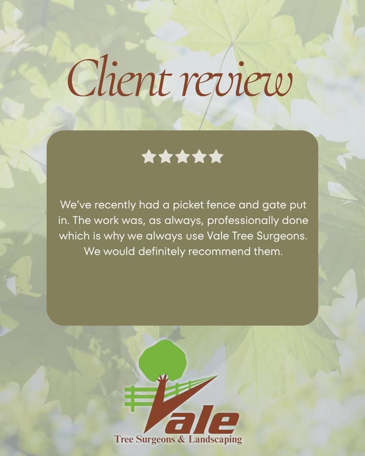 Vale Tree Surgeons LTD