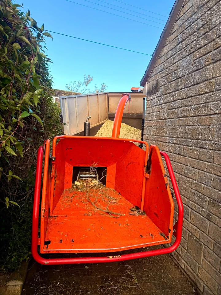 Vale Tree Surgeons LTD