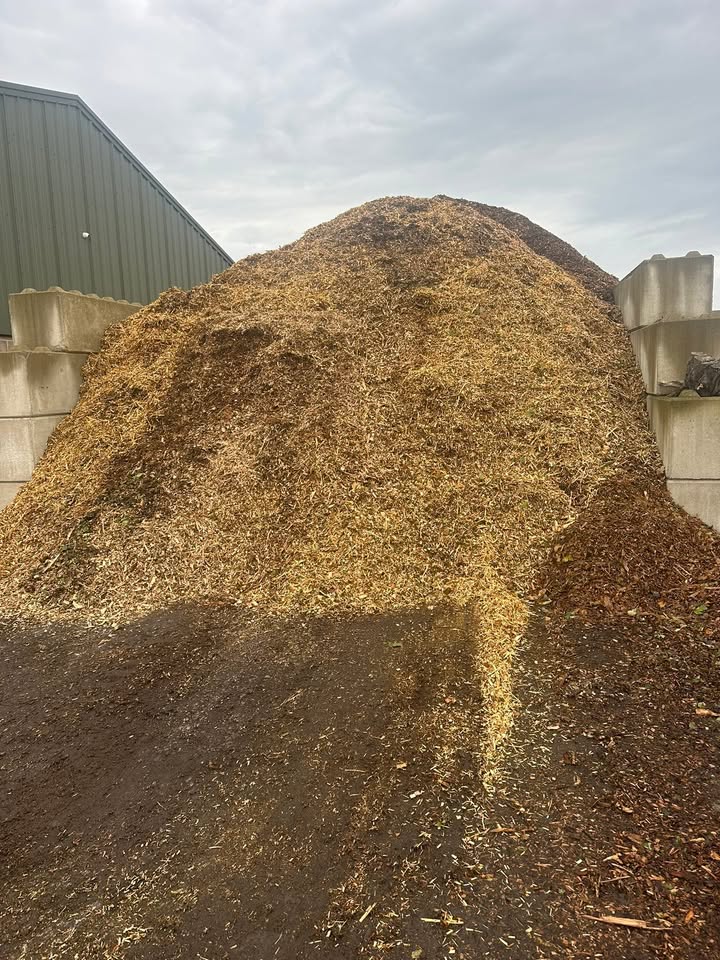 Vale Tree Surgeons LTD