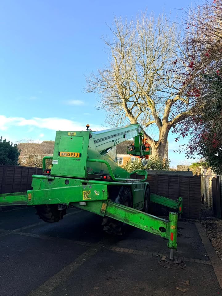 Vale Tree Surgeons LTD