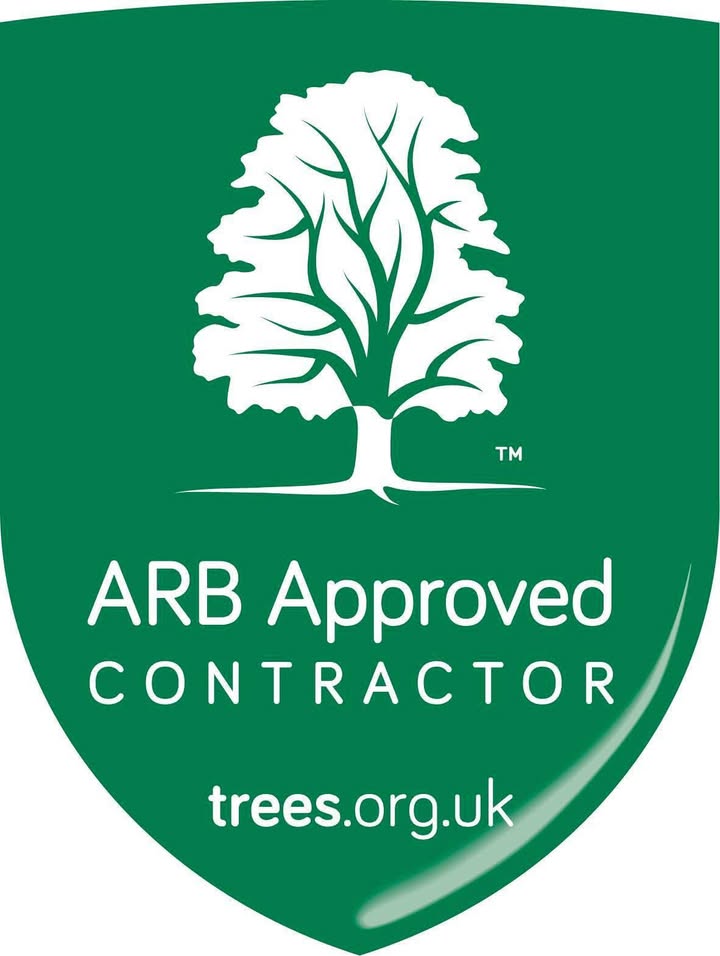 Vale Tree Surgeons LTD