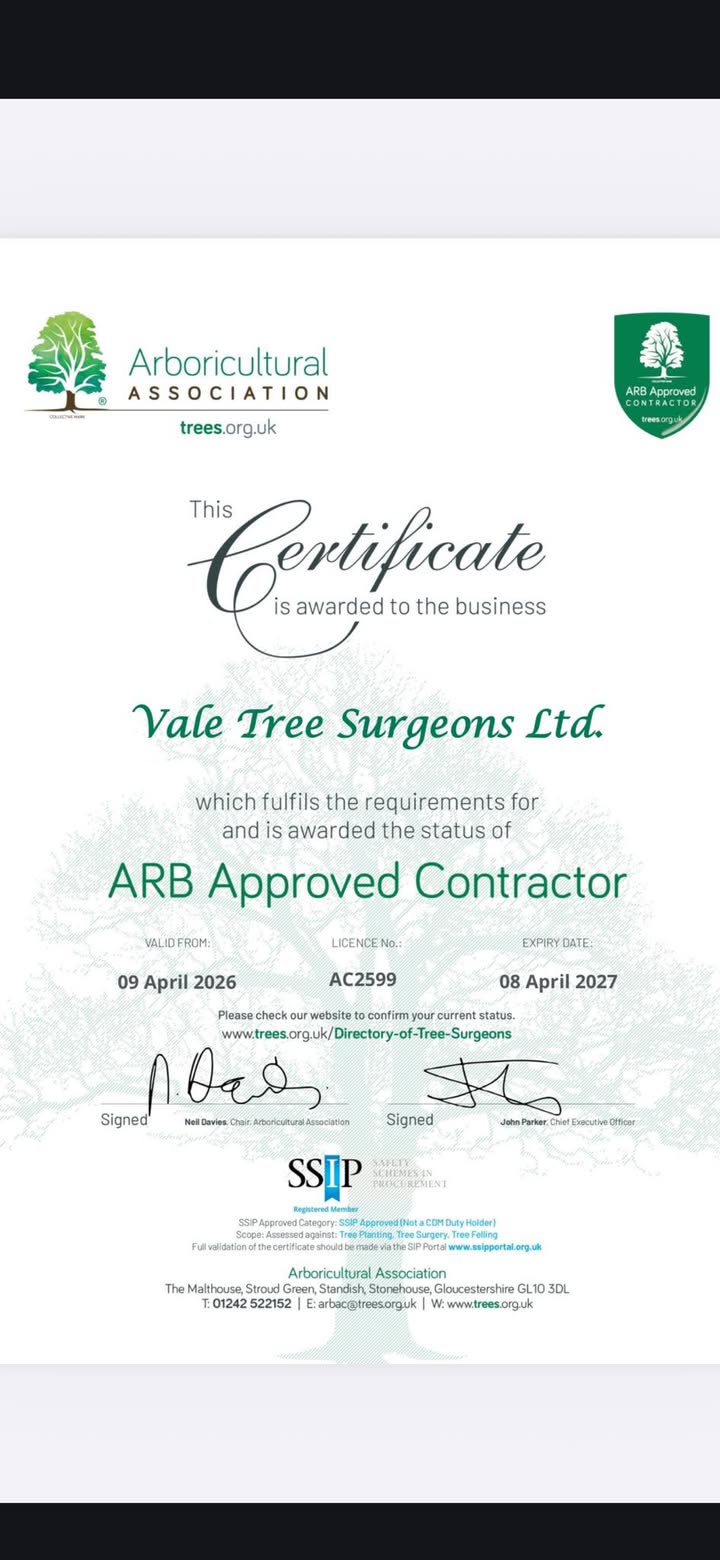 Vale Tree Surgeons LTD