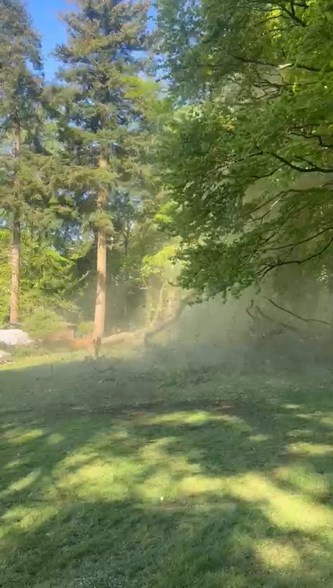 Vale Tree Surgeons LTD