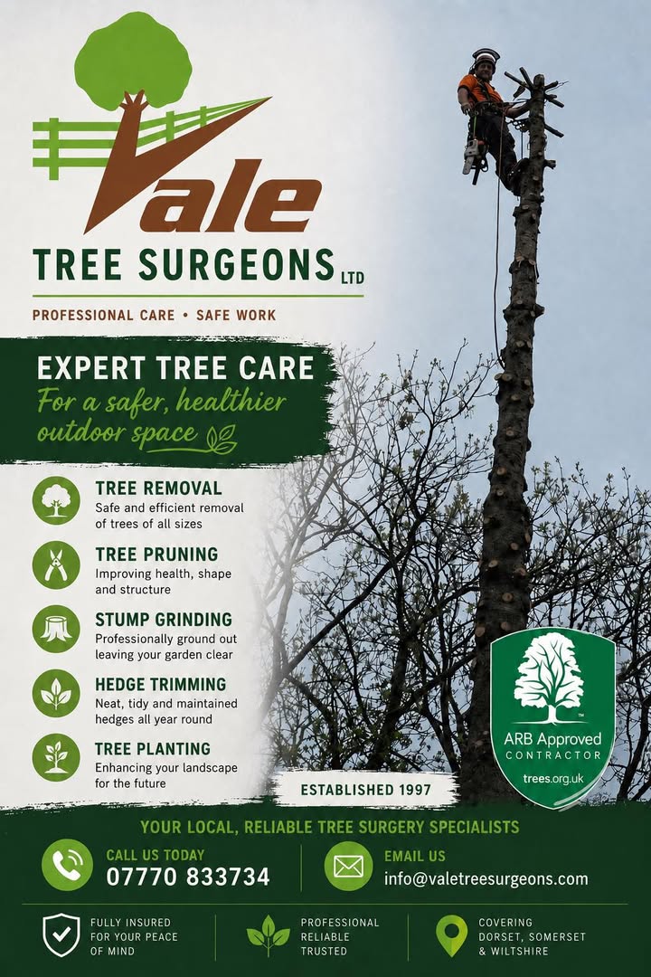 Vale Tree Surgeons LTD